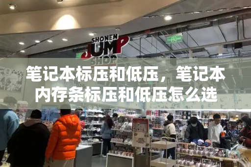 笔记本标压和低压，笔记本内存条标压和低压怎么选