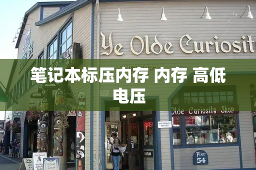笔记本标压内存 内存 高低电压