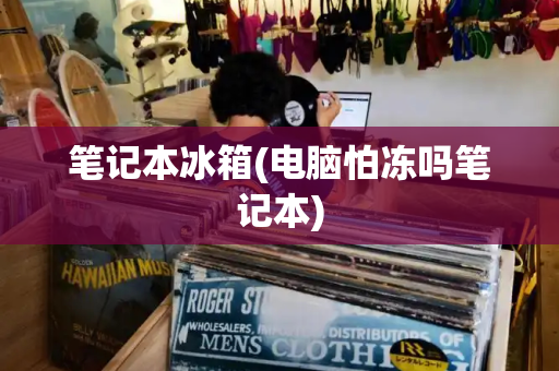 笔记本冰箱(电脑怕冻吗笔记本)