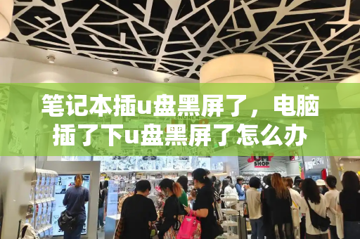 笔记本插u盘黑屏了，电脑插了下u盘黑屏了怎么办
