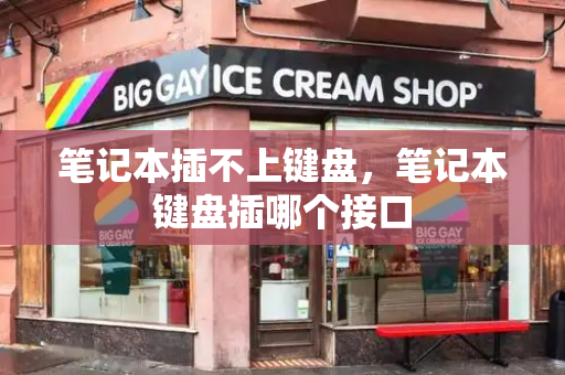 笔记本插不上键盘，笔记本键盘插哪个接口