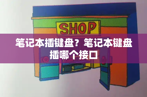 笔记本插键盘？笔记本键盘插哪个接口