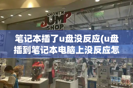笔记本插了u盘没反应(u盘插到笔记本电脑上没反应怎么办)