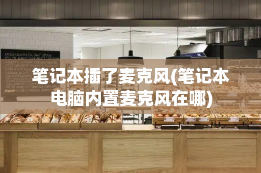 笔记本插了麦克风(笔记本电脑内置麦克风在哪)