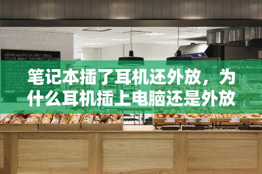 笔记本插了耳机还外放，为什么耳机插上电脑还是外放