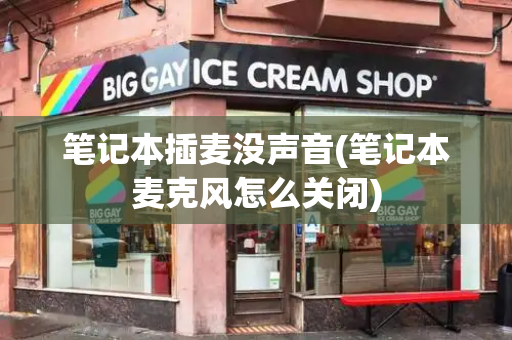笔记本插麦没声音(笔记本麦克风怎么关闭)-第1张图片-星选测评