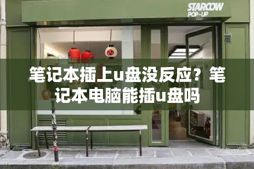 笔记本插上u盘没反应？笔记本电脑能插u盘吗