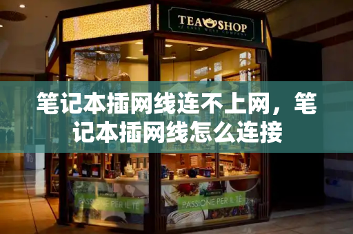 笔记本插网线连不上网，笔记本插网线怎么连接-第1张图片-星选测评