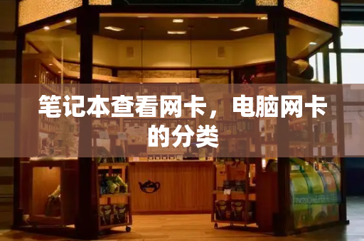 笔记本查看网卡，电脑网卡的分类-第1张图片-星选测评