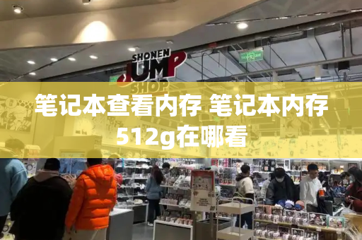 笔记本查看内存 笔记本内存512g在哪看-第1张图片-星选测评