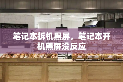 笔记本拆机黑屏，笔记本开机黑屏没反应-第1张图片-星选测评