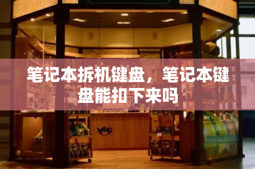 笔记本拆机键盘，笔记本键盘能扣下来吗-第1张图片-星选测评
