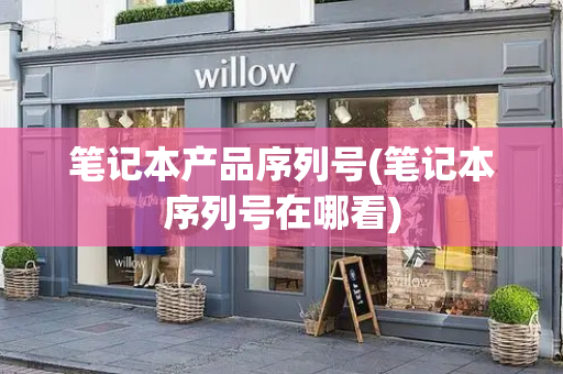 笔记本产品序列号(笔记本序列号在哪看)
