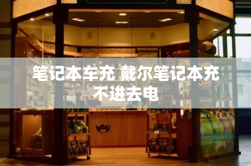 笔记本车充 戴尔笔记本充不进去电