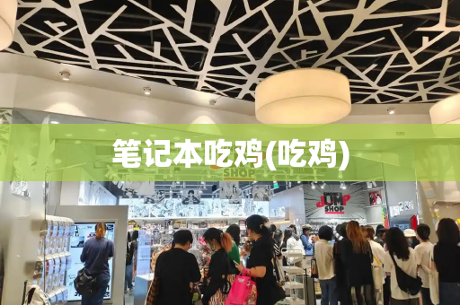 笔记本吃鸡(吃鸡)-第1张图片-星选测评