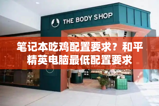 笔记本吃鸡配置要求？和平精英电脑最低配置要求-第1张图片-星选测评