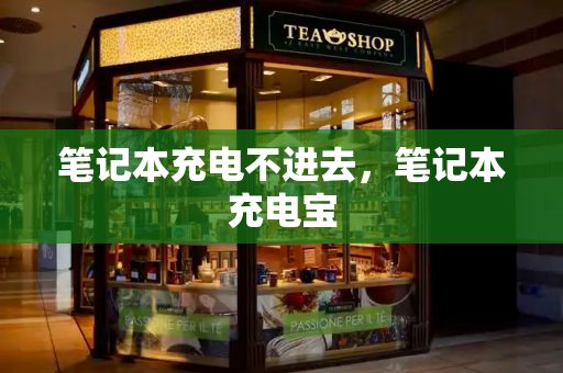 笔记本充电不进去，笔记本充电宝