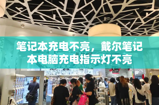 笔记本充电不亮，戴尔笔记本电脑充电指示灯不亮-第1张图片-星选测评
