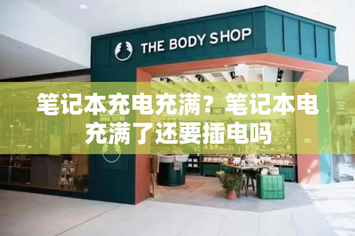 笔记本充电充满？笔记本电充满了还要插电吗-第1张图片-星选测评