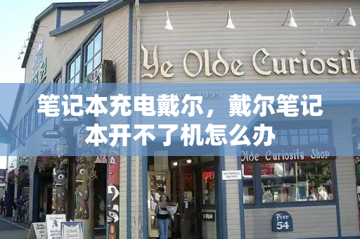 笔记本充电戴尔，戴尔笔记本开不了机怎么办-第1张图片-星选测评
