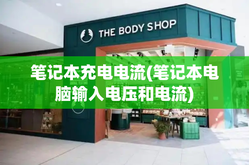 笔记本充电电流(笔记本电脑输入电压和电流)-第1张图片-星选测评