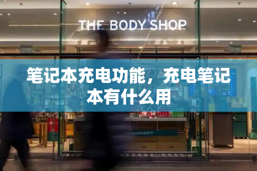 笔记本充电功能，充电笔记本有什么用-第1张图片-星选测评
