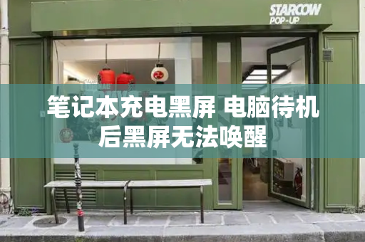 笔记本充电黑屏 电脑待机后黑屏无法唤醒-第1张图片-星选测评