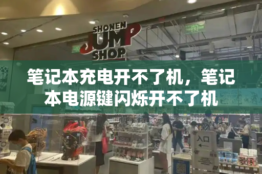 笔记本充电开不了机，笔记本电源键闪烁开不了机-第1张图片-星选测评