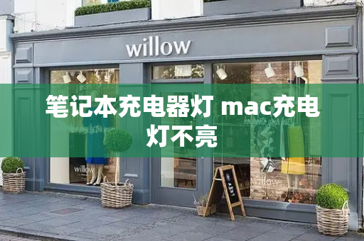 笔记本充电器灯 mac充电灯不亮