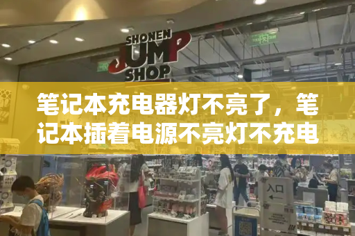 笔记本充电器灯不亮了，笔记本插着电源不亮灯不充电-第1张图片-星选测评