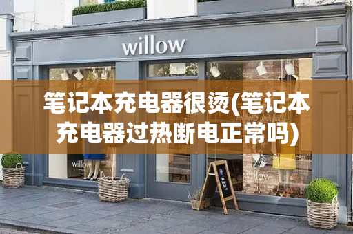 笔记本充电器很烫(笔记本充电器过热断电正常吗)-第1张图片-星选测评