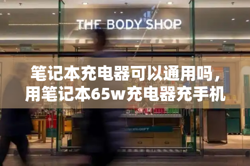 笔记本充电器可以通用吗，用笔记本65w充电器充手机-第1张图片-星选测评