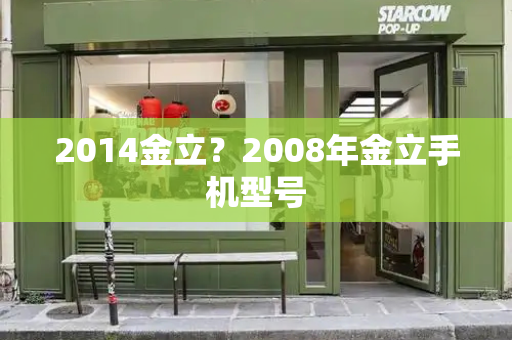 2014金立？2008年金立手机型号-第1张图片-星选测评