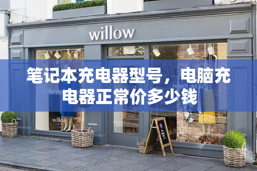 笔记本充电器型号，电脑充电器正常价多少钱-第1张图片-星选测评