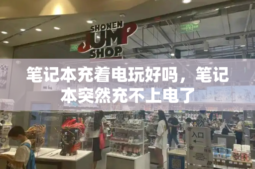 笔记本充着电玩好吗，笔记本突然充不上电了