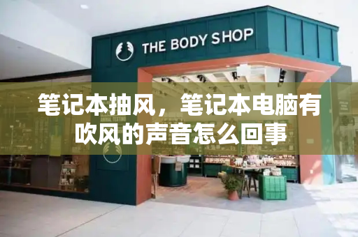 笔记本抽风，笔记本电脑有吹风的声音怎么回事