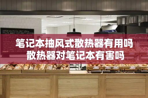 笔记本抽风式散热器有用吗 散热器对笔记本有害吗