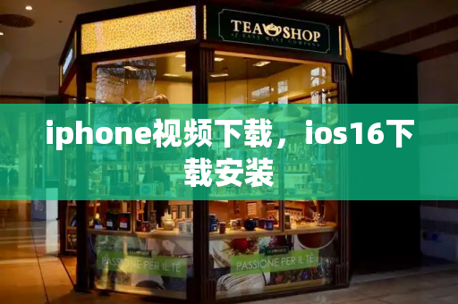 iphone视频下载，ios16下载安装