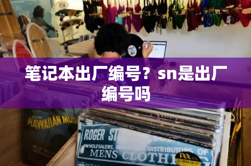 笔记本出厂编号？sn是出厂编号吗