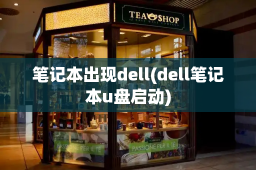 笔记本出现dell(dell笔记本u盘启动)