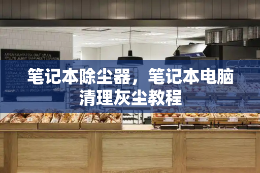 笔记本除尘器，笔记本电脑清理灰尘教程-第1张图片-星选测评