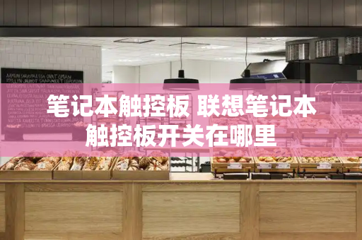 笔记本触控板 联想笔记本触控板开关在哪里-第1张图片-星选测评