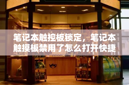 笔记本触控板锁定，笔记本触摸板禁用了怎么打开快捷键