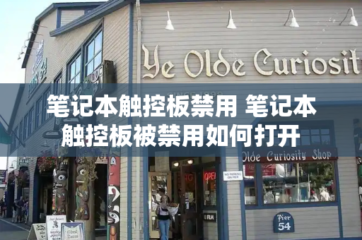 笔记本触控板禁用 笔记本触控板被禁用如何打开