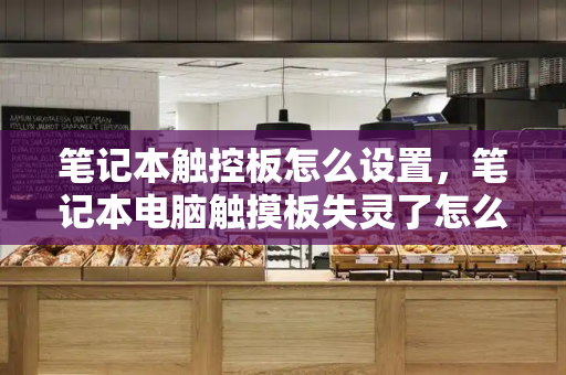 笔记本触控板怎么设置，笔记本电脑触摸板失灵了怎么办