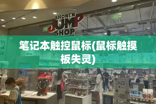 笔记本触控鼠标(鼠标触摸板失灵)