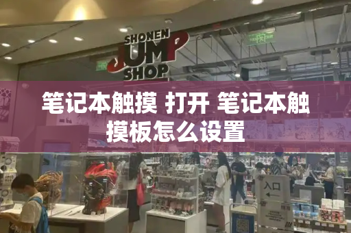 笔记本触摸 打开 笔记本触摸板怎么设置