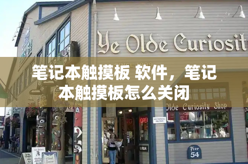 笔记本触摸板 软件，笔记本触摸板怎么关闭-第1张图片-星选测评