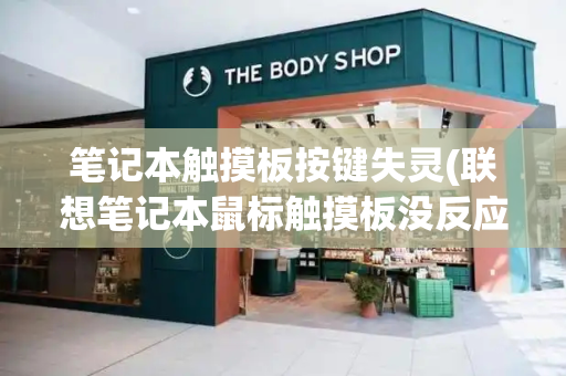 笔记本触摸板按键失灵(联想笔记本鼠标触摸板没反应)