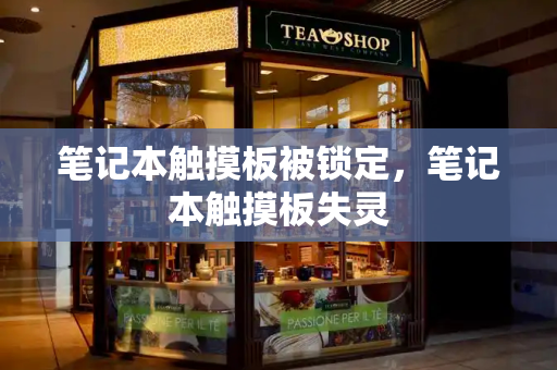 笔记本触摸板被锁定，笔记本触摸板失灵-第1张图片-星选测评
